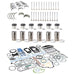 787895 Overhaul engine kit