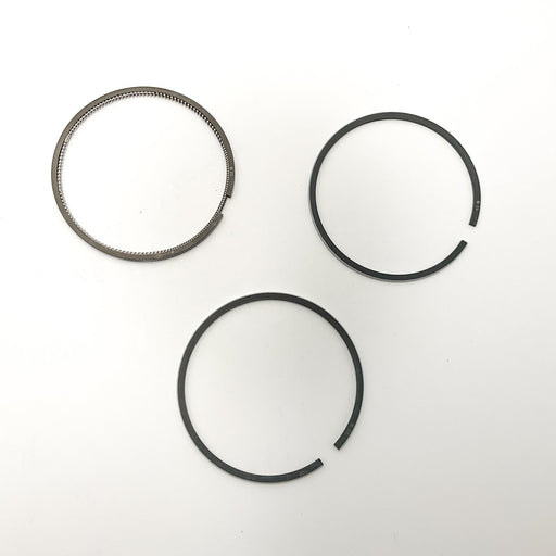 810290 Piston Ring Kit