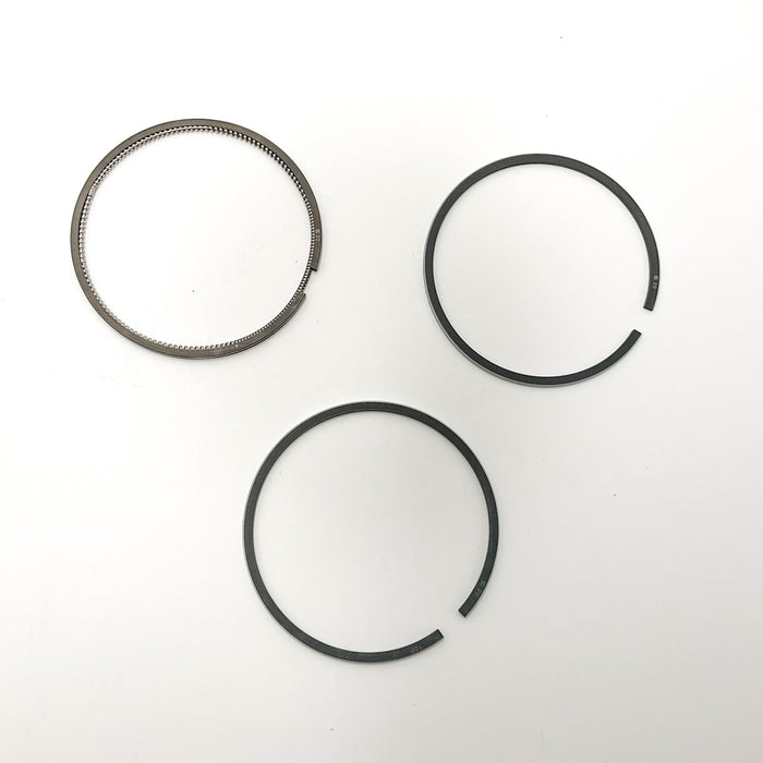 810290 Piston Ring Kit