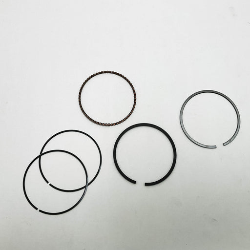 810310 Piston Ring Kit