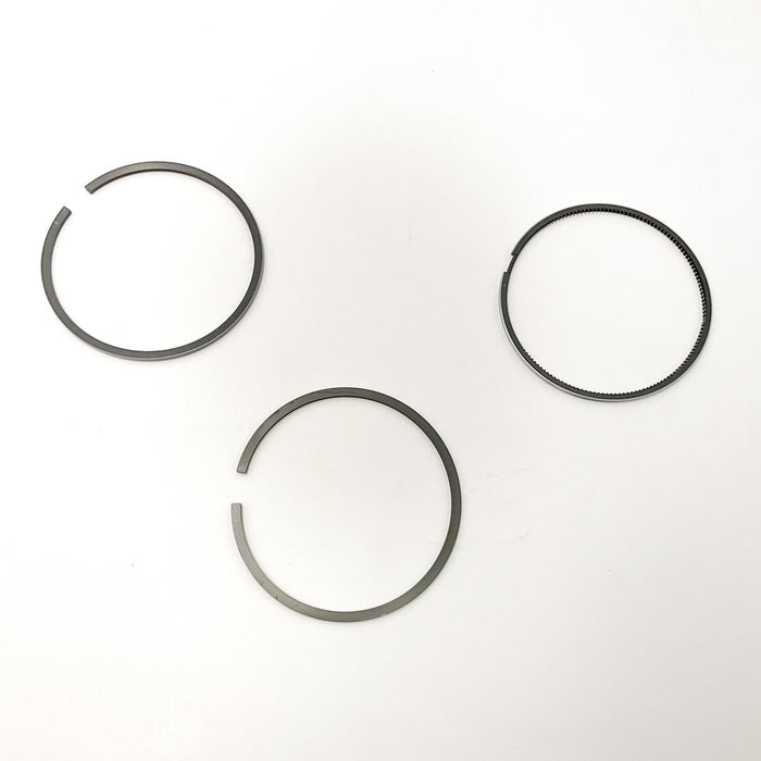 810396 Piston Ring Kit