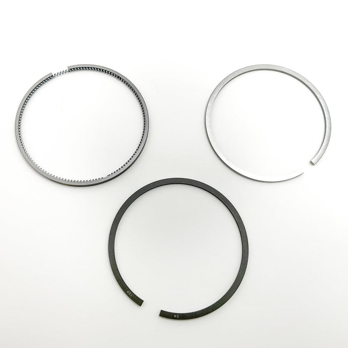 810450 Piston Ring Kit