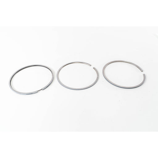 810630 Piston Ring Kit