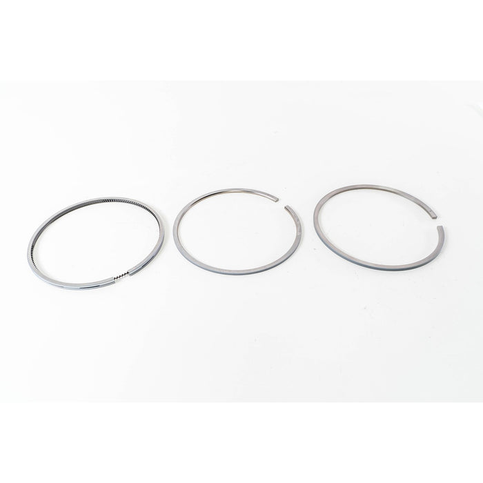 810630 Piston Ring Kit