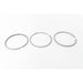 810630 Piston Ring Kit
