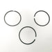 810650 Piston Ring Kit