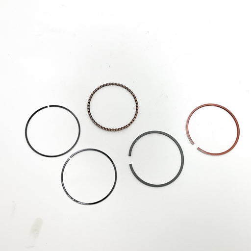 810700 Piston Ring Kit