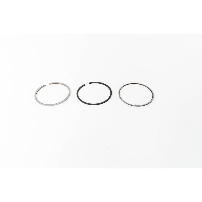 810760 Piston Ring Kit