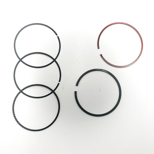 810860 Piston Ring Kit