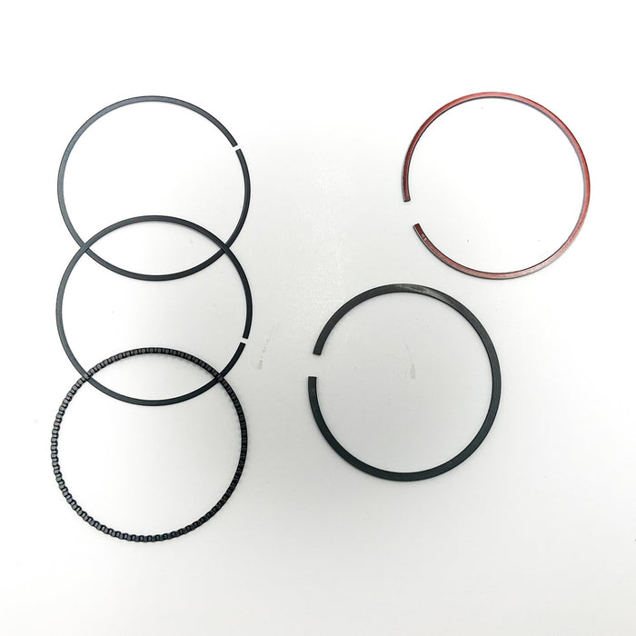 810860 Piston Ring Kit