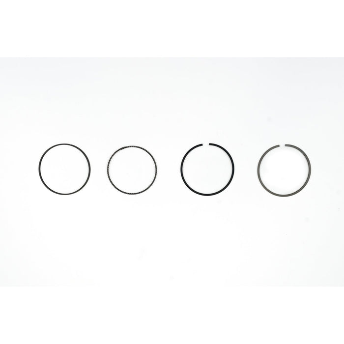 810897M Piston Ring Kit
