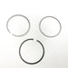 810940 Piston Ring Kit