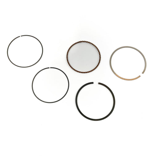 811030 Piston Ring Kit