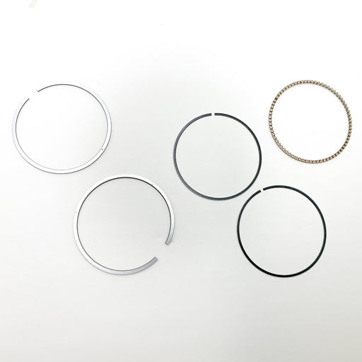 811100M Piston Ring Kit
