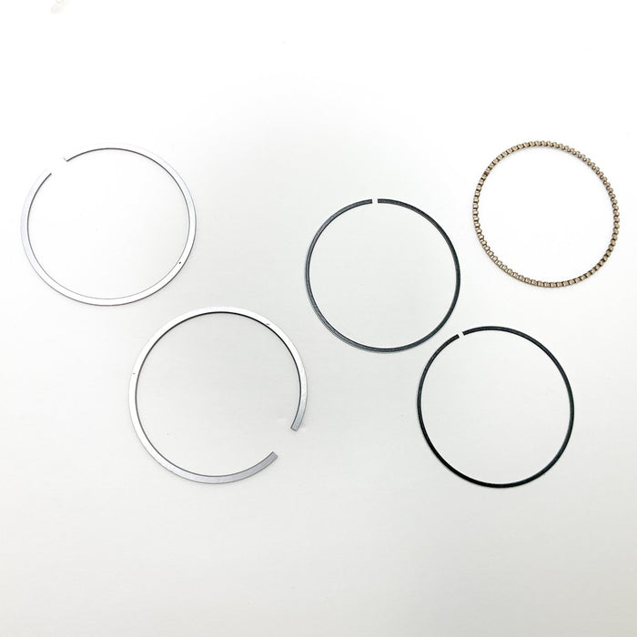 811100M Piston Ring Kit