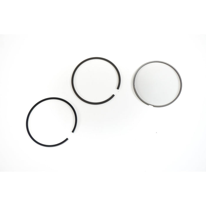 811377M Piston Ring Kit