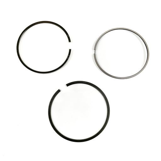 811379M Piston Ring Kit