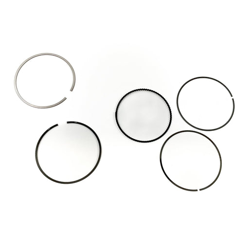 811397 Piston Ring Kit