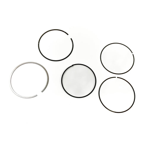 811398 Piston Ring Kit