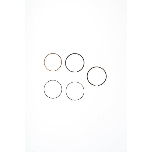 812570 Piston Ring Kit