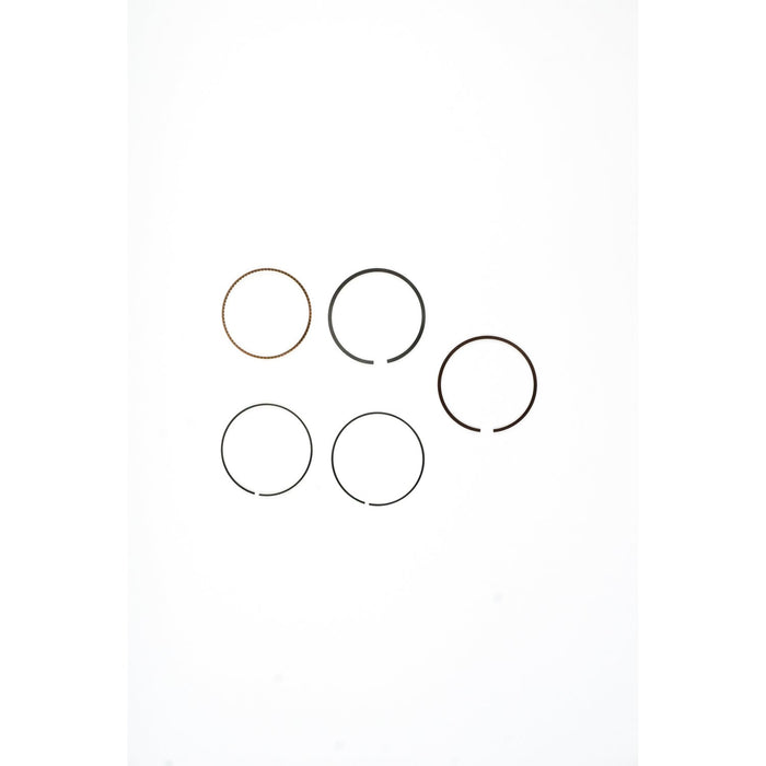 812570 Piston Ring Kit