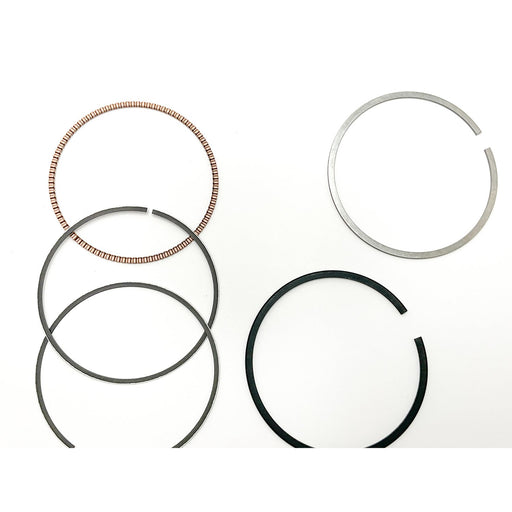 812860 Piston Ring Kit