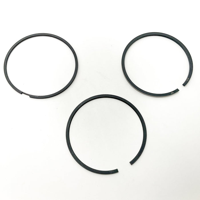 813180 Piston Ring Kit