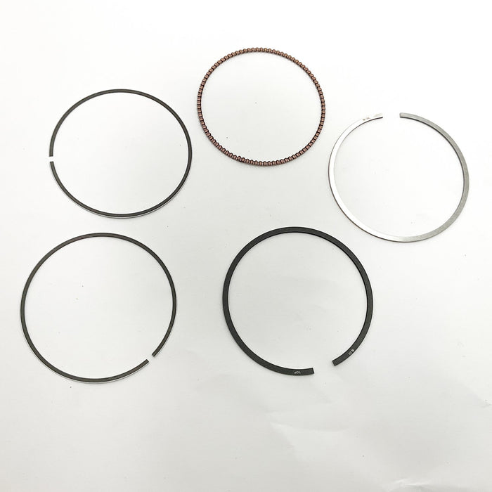 813260 Piston Ring Kit