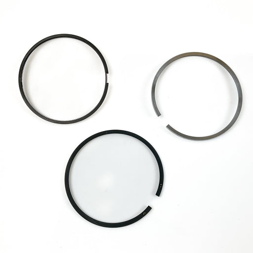 813325 Piston Ring Kit