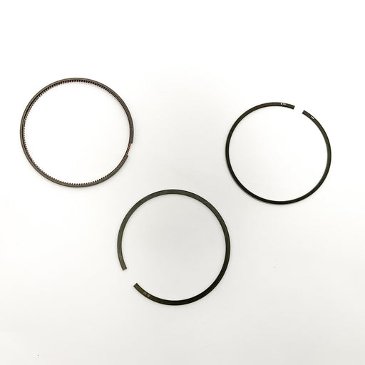 813390 Piston Ring Kit