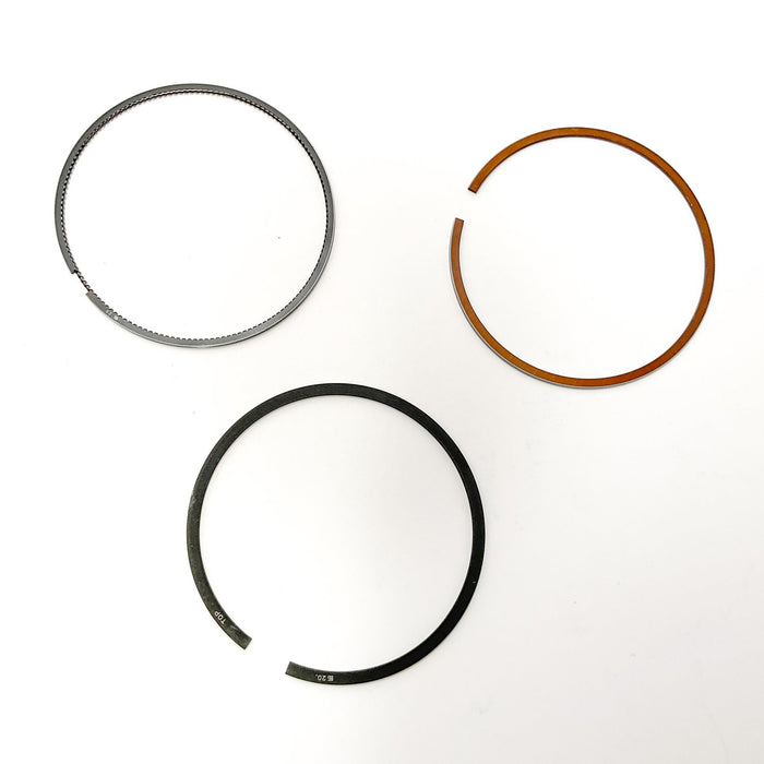813530 Piston Ring Kit