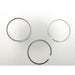 813550 Piston Ring Kit