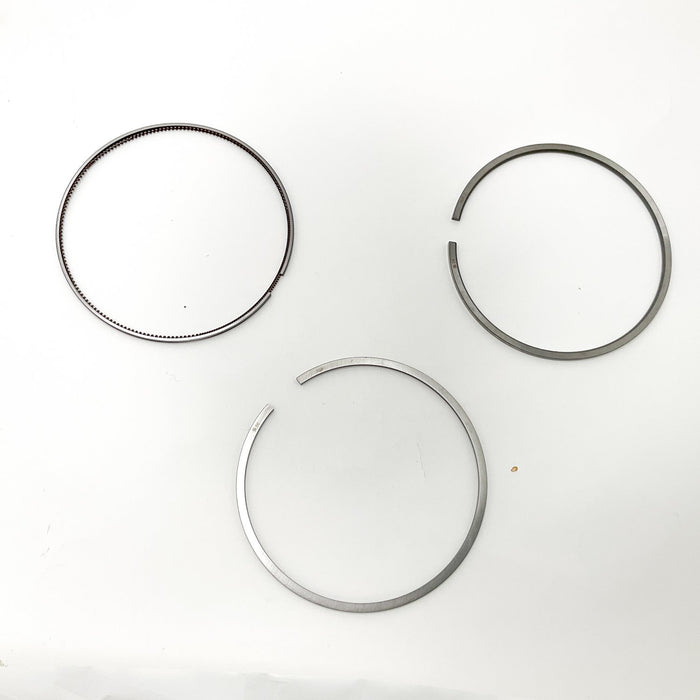 813560 Piston Ring Kit