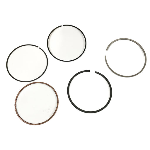 813580 Piston Ring Kit
