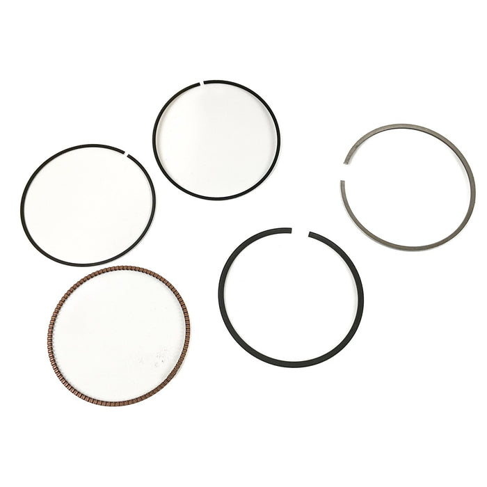 813580 Piston Ring Kit