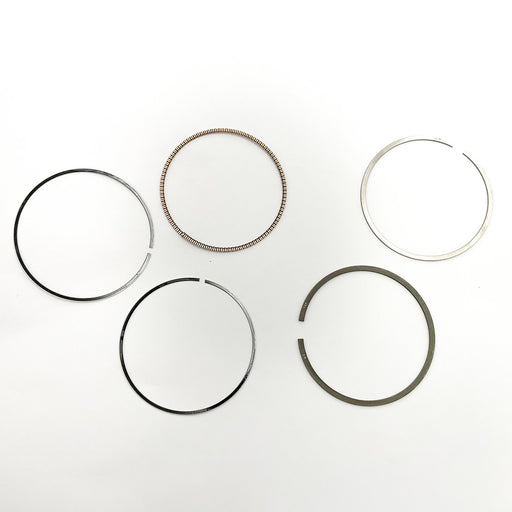 813620 Piston Ring Kit