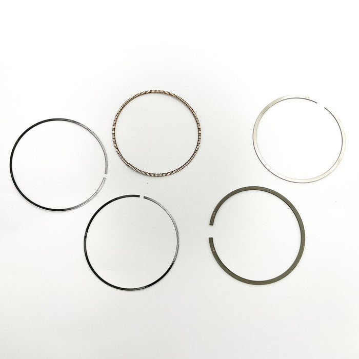813620 Piston Ring Kit