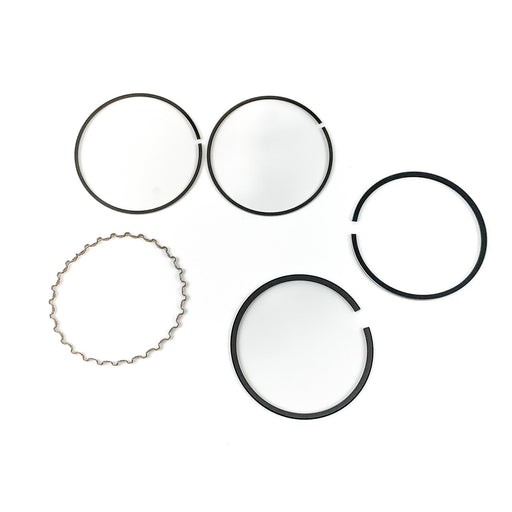 813640 Piston Ring Kit