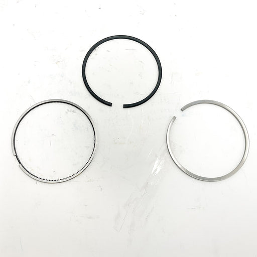 813666 Piston Ring Kit