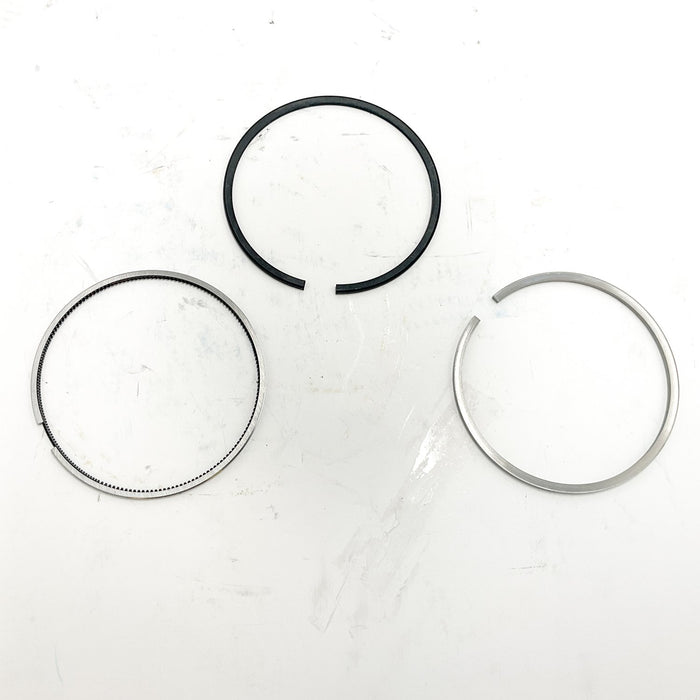 813666 Piston Ring Kit
