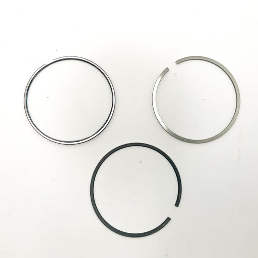 813790 Piston Ring Kit