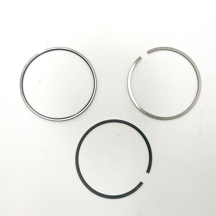 813790 Piston Ring Kit