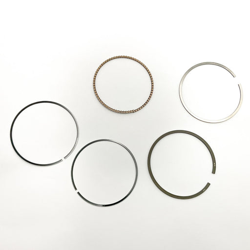 813810 Piston Ring Kit