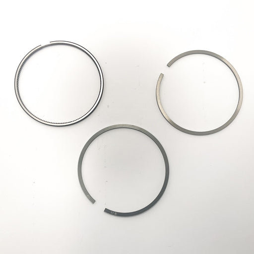 813830 Piston Ring Kit
