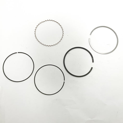 813870 Piston Ring Kit