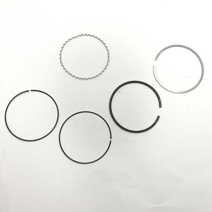 813870 Piston Ring Kit