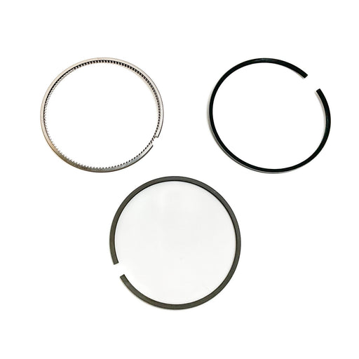 813910 Piston Ring Kit