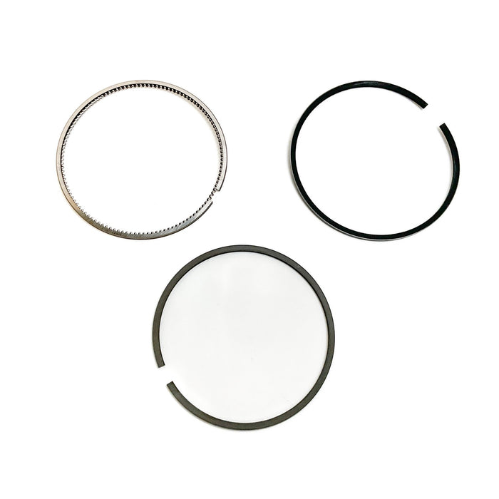 813910 Piston Ring Kit