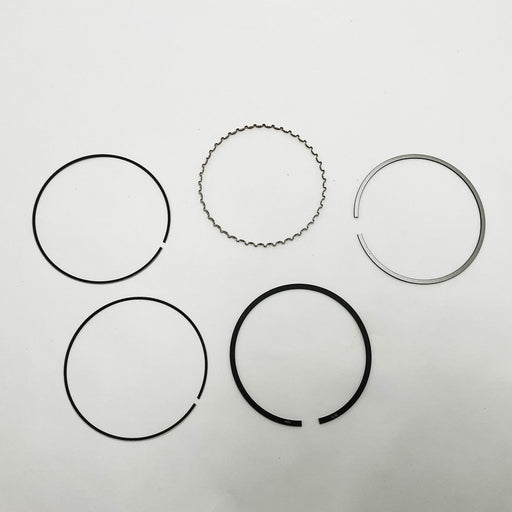 813950 Piston Ring Kit