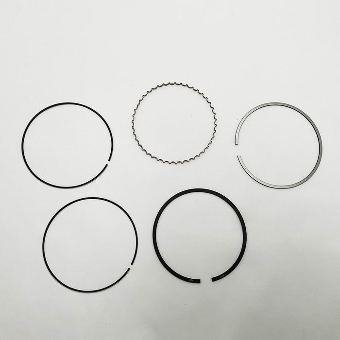 813950 Piston Ring Kit